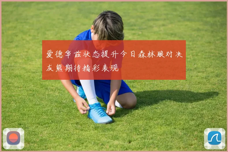 爱德华兹状态提升今日森林狼对决灰熊期待精彩表现